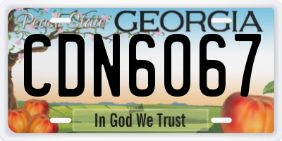 GA license plate CDN6067