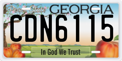 GA license plate CDN6115