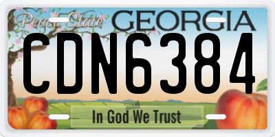 GA license plate CDN6384