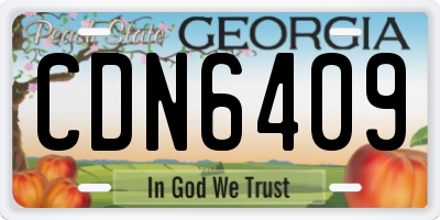GA license plate CDN6409