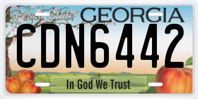 GA license plate CDN6442