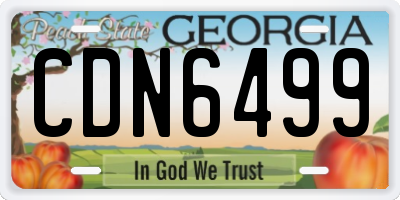 GA license plate CDN6499