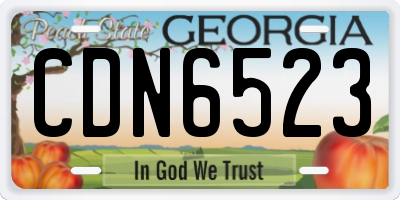 GA license plate CDN6523