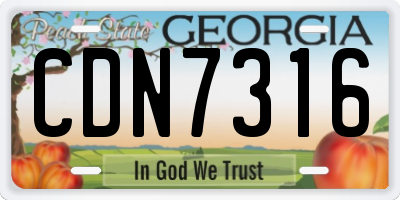 GA license plate CDN7316
