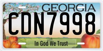 GA license plate CDN7998