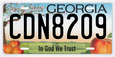 GA license plate CDN8209