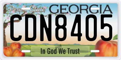 GA license plate CDN8405