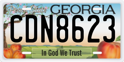 GA license plate CDN8623