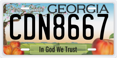 GA license plate CDN8667