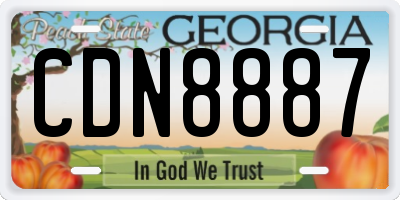 GA license plate CDN8887