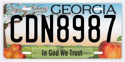 GA license plate CDN8987
