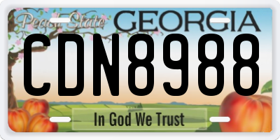 GA license plate CDN8988