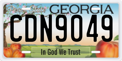 GA license plate CDN9049