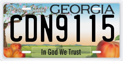 GA license plate CDN9115