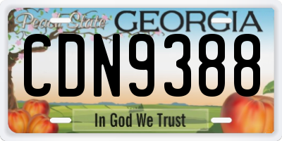 GA license plate CDN9388