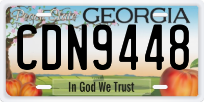 GA license plate CDN9448