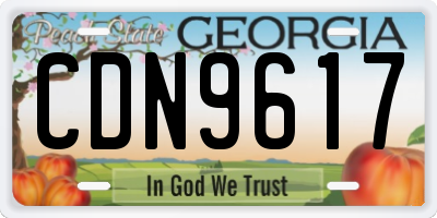 GA license plate CDN9617