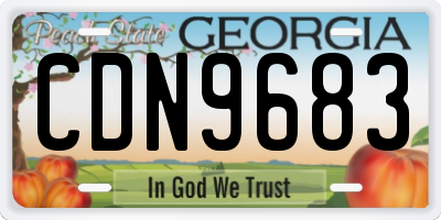 GA license plate CDN9683