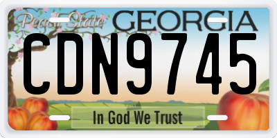 GA license plate CDN9745