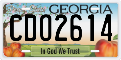 GA license plate CDO2614