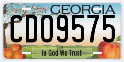 GA license plate CDO9575