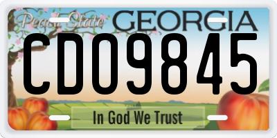 GA license plate CDO9845
