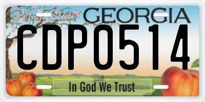 GA license plate CDP0514