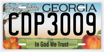 GA license plate CDP3009