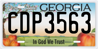 GA license plate CDP3563