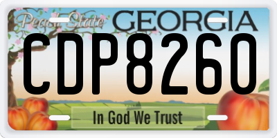 GA license plate CDP8260