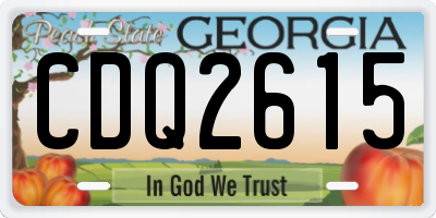 GA license plate CDQ2615