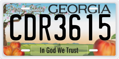 GA license plate CDR3615