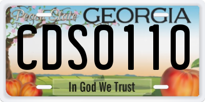 GA license plate CDS0110