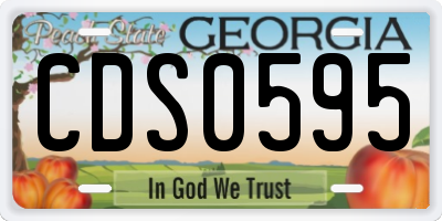 GA license plate CDS0595