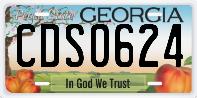 GA license plate CDS0624