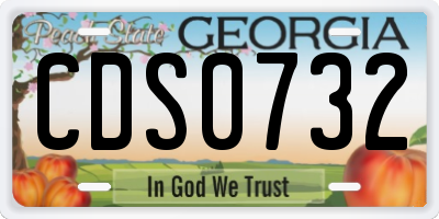 GA license plate CDS0732