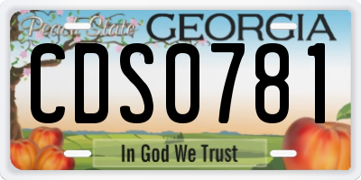 GA license plate CDS0781