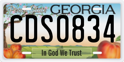 GA license plate CDS0834