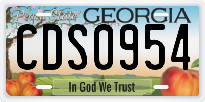 GA license plate CDS0954
