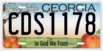 GA license plate CDS1178