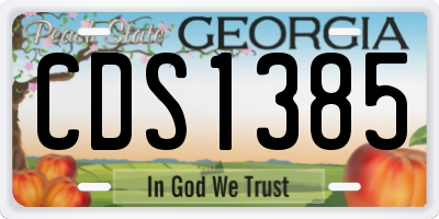 GA license plate CDS1385