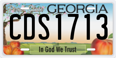 GA license plate CDS1713