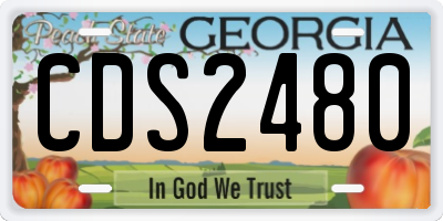 GA license plate CDS2480