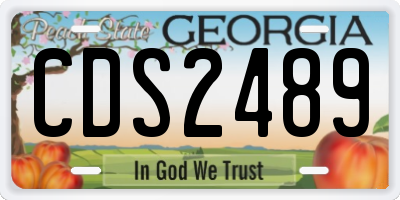 GA license plate CDS2489