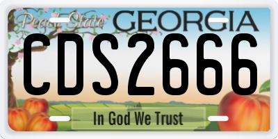 GA license plate CDS2666