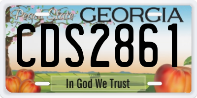 GA license plate CDS2861