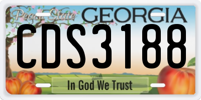 GA license plate CDS3188
