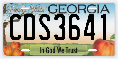 GA license plate CDS3641