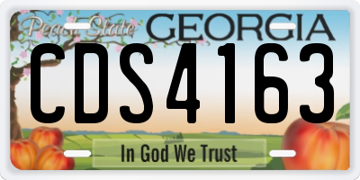 GA license plate CDS4163