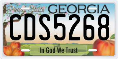 GA license plate CDS5268